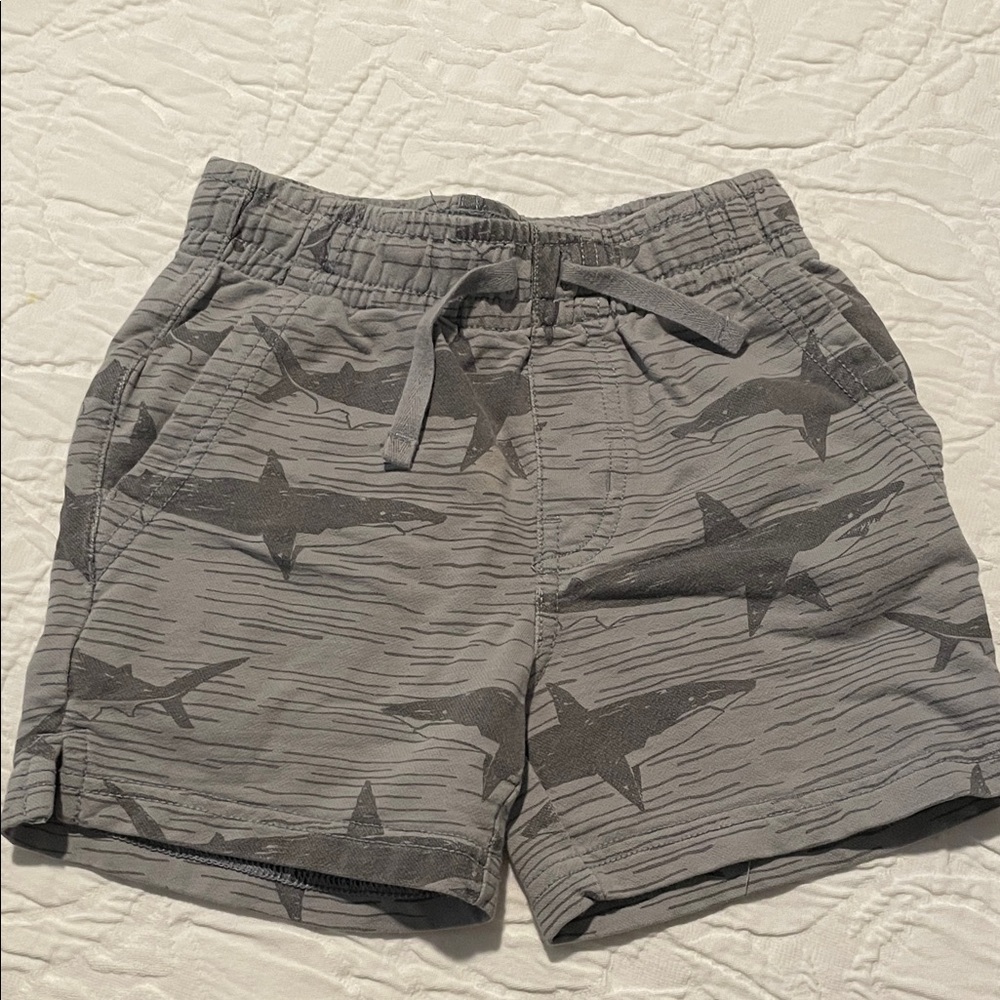 Tea Collection Boy’s Shark Print Shorts